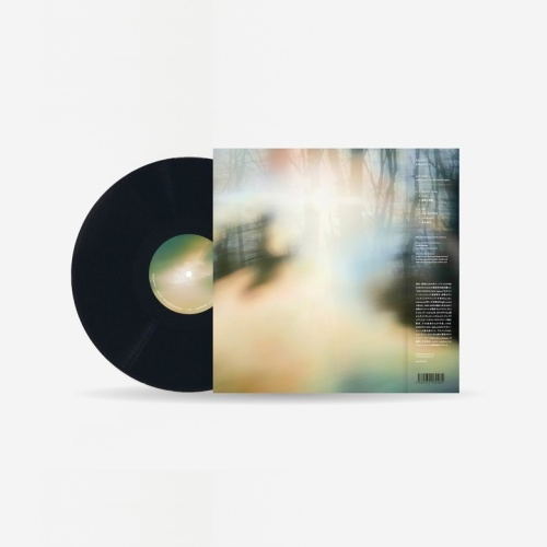 All Ray (Vinyl) (Haruka Nakamura)