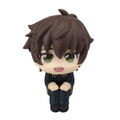 Look Up Series Code Geass Lelouch Of The Rebellion Kururugi Suzaku thumbnail 2