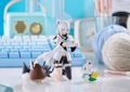 figma No. 666 Hololive Production: Shirakami Fubuki [GSC Online Shop Exclusive Ver.] thumbnail 3