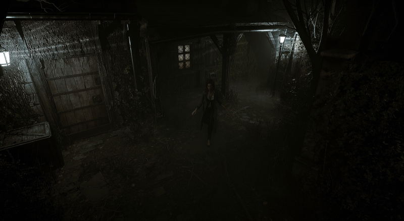Echoes of the Living <span class="ext" style="background-color: #2a475e; color: #FFFFFF;">STEAM</span> <span class="ext ext_digital">digital</span> image 12