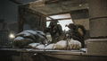 Escape from Tarkov <span class="ext" style="background-color: #2a475e; color: #FFFFFF;">STEAM</span> <span class="ext ext_digital">digital</span> thumbnail 14