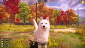 Animal Shelter 2 <span class="ext" style="background-color: #2a475e; color: #FFFFFF;">STEAM</span> <span class="ext ext_digital">digital</span> thumbnail 13