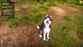 Animal Shelter 2 <span class="ext" style="background-color: #2a475e; color: #FFFFFF;">STEAM</span> <span class="ext ext_digital">digital</span> thumbnail 15