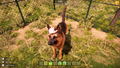 Animal Shelter 2 <span class="ext" style="background-color: #2a475e; color: #FFFFFF;">STEAM</span> <span class="ext ext_digital">digital</span> thumbnail 16