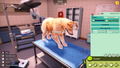 Animal Shelter 2 <span class="ext" style="background-color: #2a475e; color: #FFFFFF;">STEAM</span> <span class="ext ext_digital">digital</span> thumbnail 5