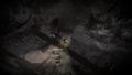 Darkwood 2 <span class="ext" style="background-color: #2a475e; color: #FFFFFF;">STEAM</span> <span class="ext ext_digital">digital</span> thumbnail 7