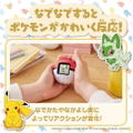 Pokemon Friends Pokeball (Re-run) thumbnail 3