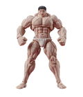 Digaction Baki Hanma 1/24 Scale Action Figure: Hanayama Kaoru thumbnail 1