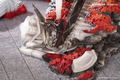 Arknights 1/7 Scale Pre-Painted Figure: Exusiai the New Covenant Elite 2 Ver. thumbnail 15
