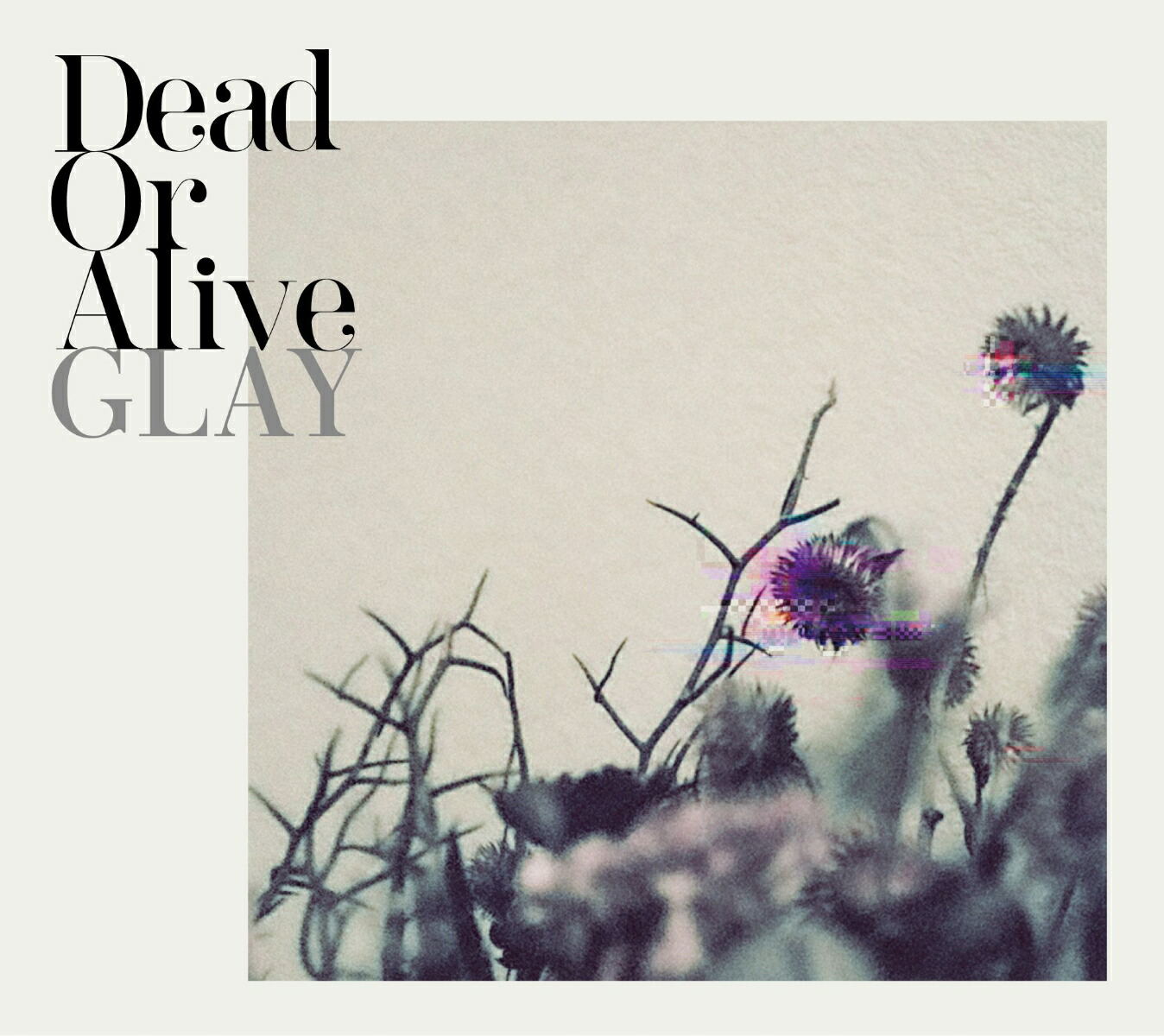 Dead Or Alive [CD+Blu-ray] — Import Game Deal