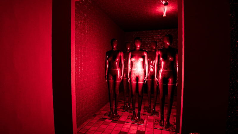 Locked in my Darkness 2: The Room <span class="ext" style="background-color: #2a475e; color: #FFFFFF;">STEAM</span> <span class="ext ext_digital">digital</span> image 5