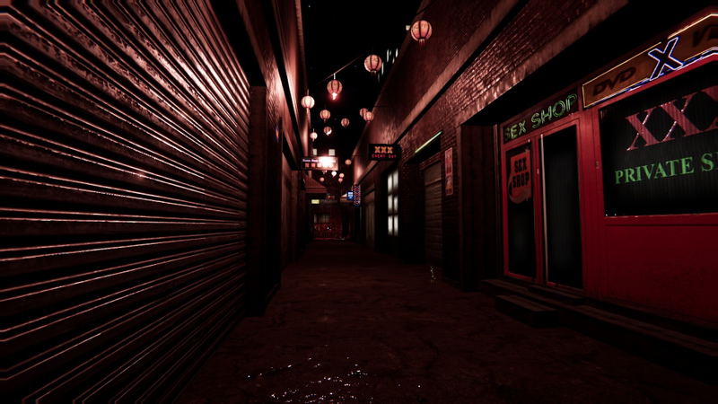 Locked in my Darkness 2: The Room <span class="ext" style="background-color: #2a475e; color: #FFFFFF;">STEAM</span> <span class="ext ext_digital">digital</span> image 6