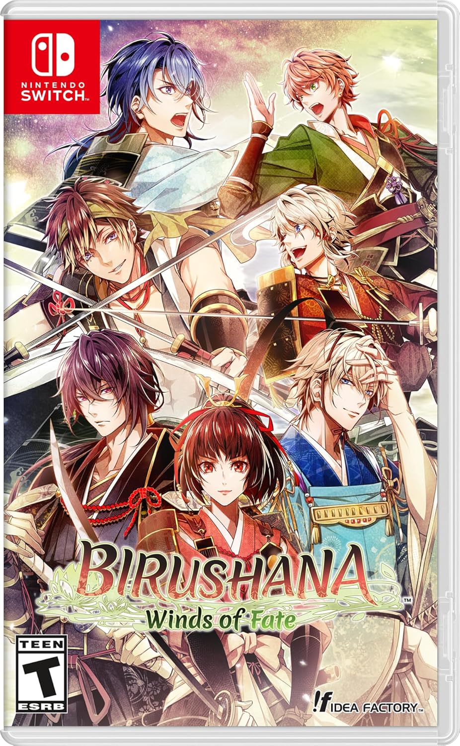 Birushana: Winds of Fate for Nintendo Switch, Nintendo Switch 2