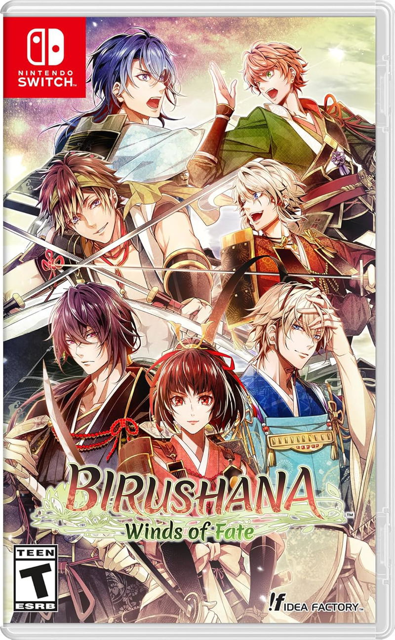 Birushana: Winds of Fate image 1