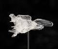 figma No. SP-113 R-Type: Dobkeratops (Re-run) thumbnail 9