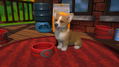 Little Friends: Puppy Island (Code in a Box) thumbnail 2