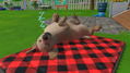 Little Friends: Puppy Island (Code in a Box) thumbnail 6