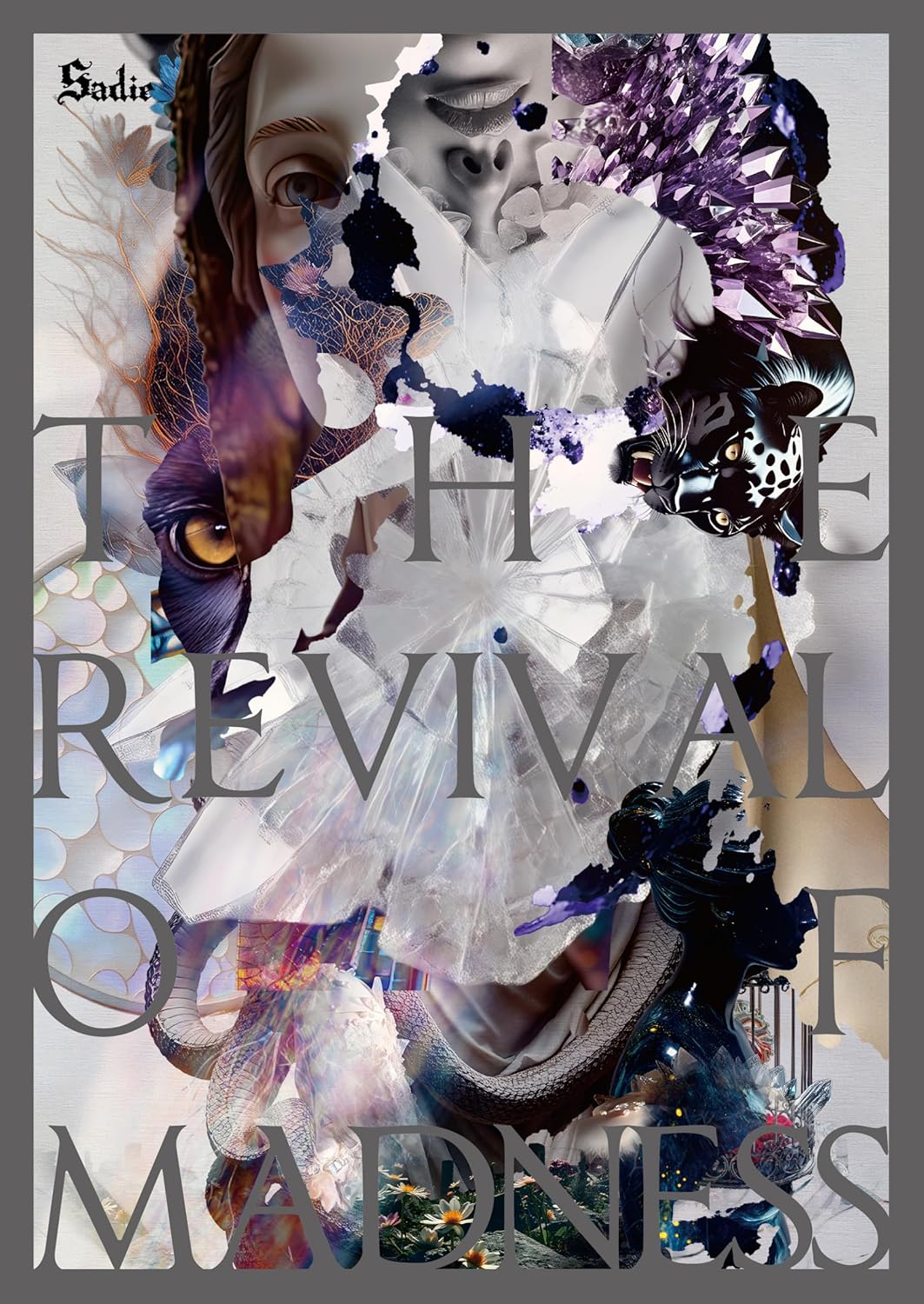 The Revival Of Madness [w/ DVD Limited Edition] — Import Game Deal