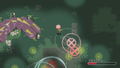 Sword of the Necromancer Collection [Special Edition] thumbnail 14