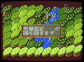 Zan Collection thumbnail 2