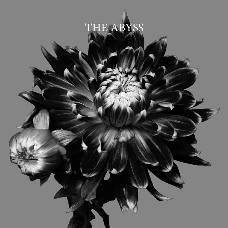 The Abyss [Limited Edition] image 1