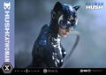 Real Elite Masterline Batman Hush 1/3 Scale Statue: Catwoman DX Edition thumbnail 57