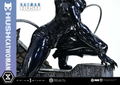 Real Elite Masterline Batman Hush 1/3 Scale Statue: Catwoman DX Edition thumbnail 67