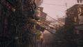 No Law thumbnail 12