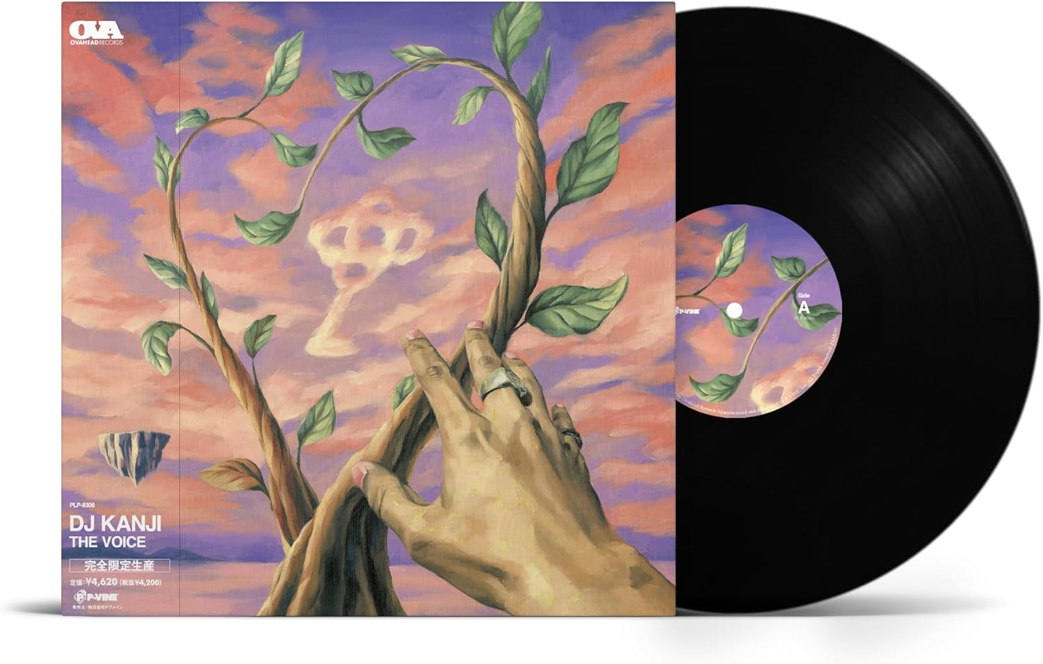 The Voice [Limited Edition] (Vinyl) — Import Game Deal