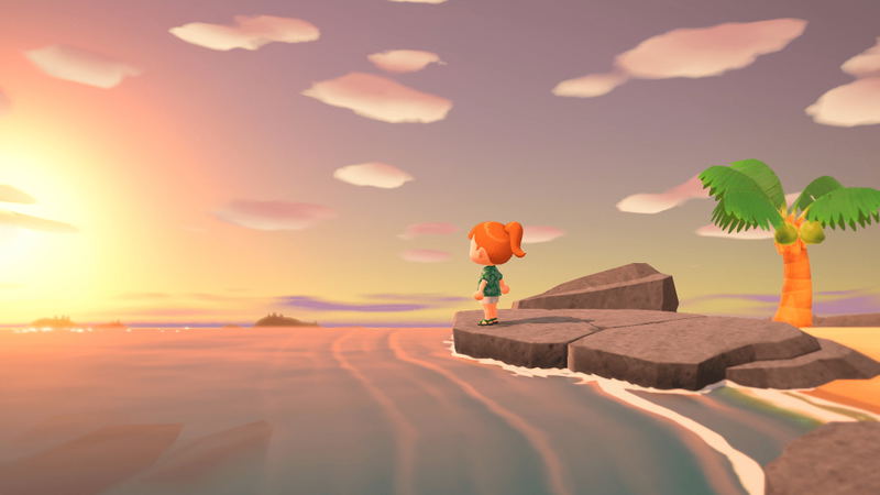 Animal Crossing: New Horizons Nintendo Switch 2 Edition <span class="ext" style="background-color: #00e206; color: #FFFFFF;">Game Cart</span> image 6