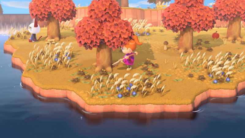 Animal Crossing: New Horizons Nintendo Switch 2 Edition <span class="ext" style="background-color: #00e206; color: #FFFFFF;">Game Cart</span> image 8
