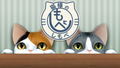 Cat's Escape Special Collection thumbnail 4