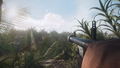Hell Let Loose: Vietnam <span class="ext" style="background-color: #2a475e; color: #FFFFFF;">STEAM</span> <span class="ext ext_digital">digital</span> thumbnail 8