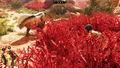 GreedFall: The Dying World thumbnail 5