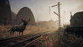 Pathologic 3 <span class="ext" style="background-color: #2a475e; color: #FFFFFF;">STEAM</span> <span class="ext ext_digital">digital</span> thumbnail 10