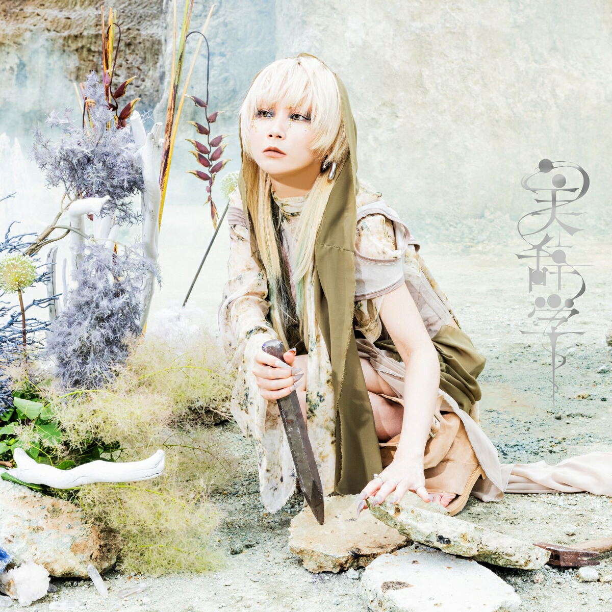 Bijigaku [w/ DVD Limited Edition Type B] — Import Game Deal