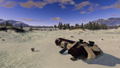 Empyrion: Galactic Survival (Complete Edition) <span class="ext" style="background-color: #2a475e; color: #FFFFFF;">STEAM</span> <span class="ext ext_digital">digital</span> thumbnail 10