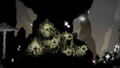 Koira thumbnail 4