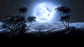 The Library of Babel (Multi-Language) thumbnail 11