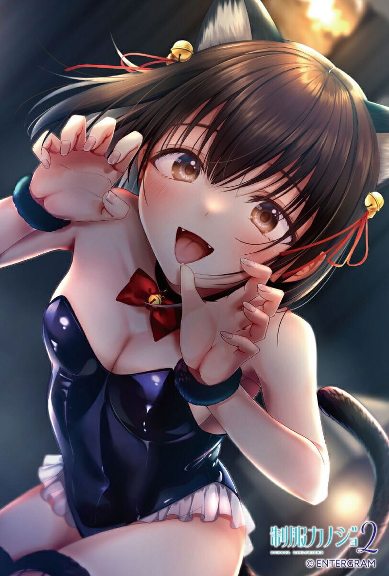 Seifuku Kanojo 2 [Himari Love Box] image 5