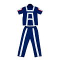 Anime My Hero Academia - U.A. High School Gym Uniform (Short Sleeve Top And Bottom Set) (Men's XL) thumbnail 1