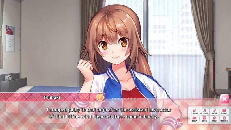 Days Collection: Akiba Heroines [First Print Edition] (Multi-Language) <span class="ext" style="background-color: #003082; color: #FFFFFF;">PLAY EXCLUSIVES</span> image 13