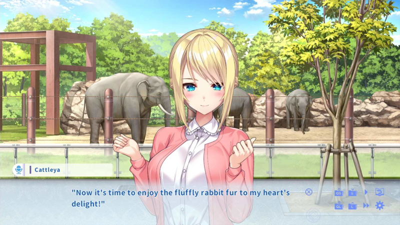 Days Collection: Akiba Heroines [First Print Edition] (Multi-Language) <span class="ext" style="background-color: #003082; color: #FFFFFF;">PLAY EXCLUSIVES</span> image 9