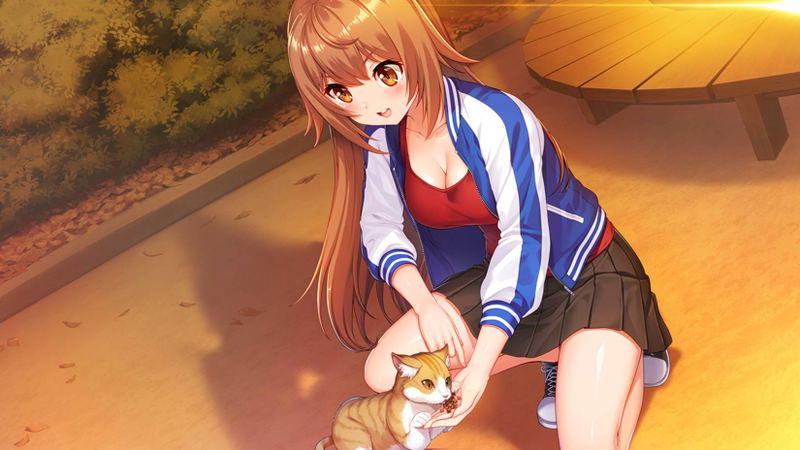 Days Collection: Akiba Heroines (Multi-Language) image 9