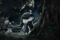 Nendoroid No. 2914 Junji Ito Maniac: Tomie thumbnail 8