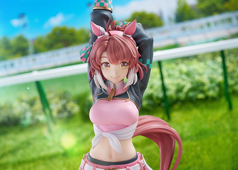 Uma Musume Pretty Derby 1/7 Scale Pre-Painted Figure: Dantsu Flame image 12