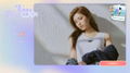 Love is All Around Collection (Multi-Language) thumbnail 3
