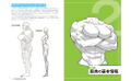 How To Draw Muscle Girls For The First Time - Master The Muscle Points! thumbnail 3