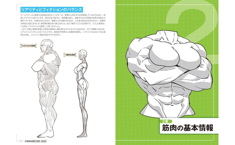 How To Draw Muscle Girls For The First Time - Master The Muscle Points! image 3