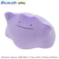 Pokemon Mofumofu Udemakura: Ditto thumbnail 2